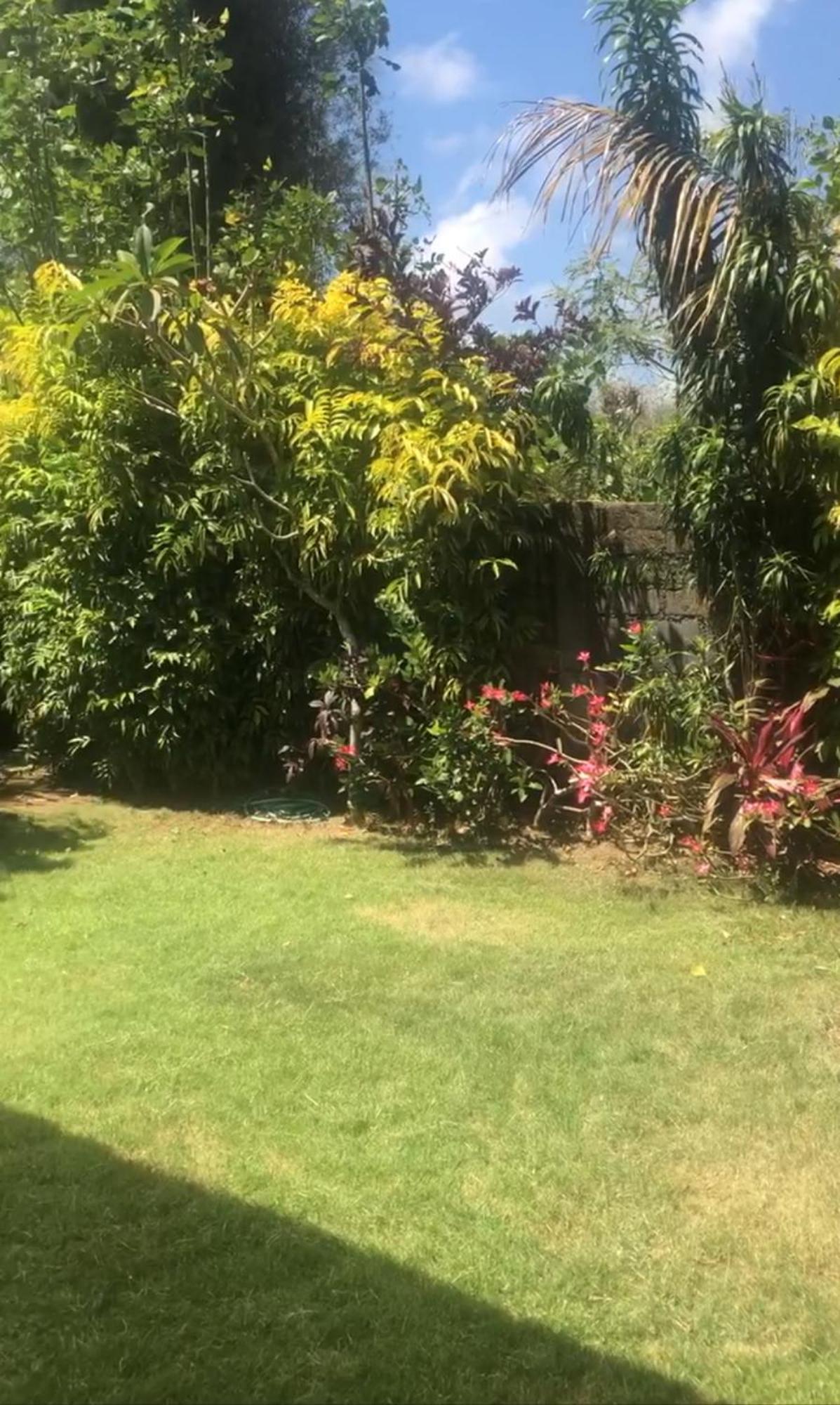 Harmony Garden 1 *